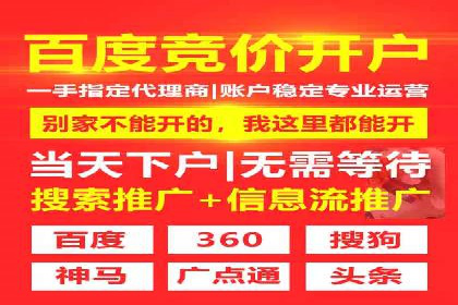 如何在竞争激烈的市场中做好SEM——案例分析